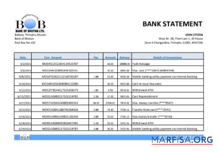Printable Bhutan Bank of Bhutan bank statement excel example